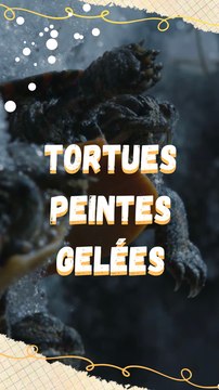 Le pouvoir des tortues peintes !
