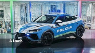 Lamborghini Urus da Polícia Italiana