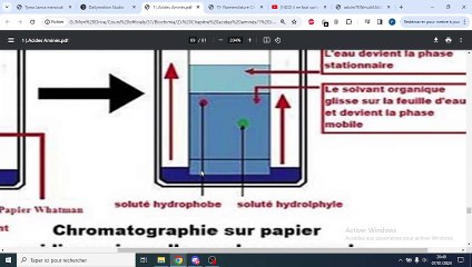 ACIDES AMINES METHODE D'ETUDE