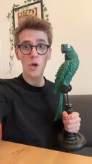 Mon perroquet va t’hypnotiser!!!✨‍