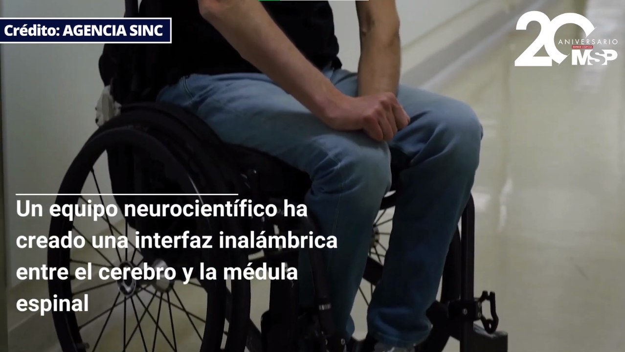 Conexión inalámbrica: neurocientíficos abren nuevos horizontes entre cerebro y médula espinal - #ExclusivoMSP