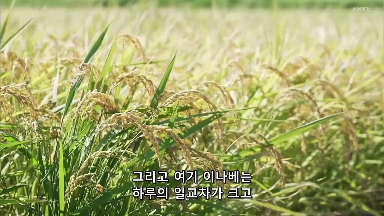 32 오래된