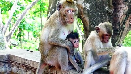 Oh So Big Mouth!, Sakura Falls In Sleeping (720p_25fps_H264-192kbit_AAC)