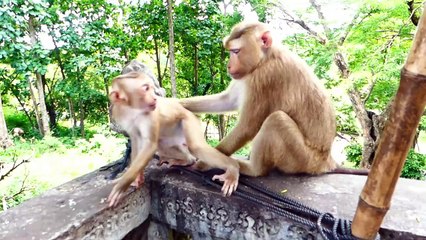 Oh So Romantic...!, Adorable Rockstar Giving Sweet Kisses To Beloved Mother Sarika (720p_25fps_H264-192kbit_AAC)