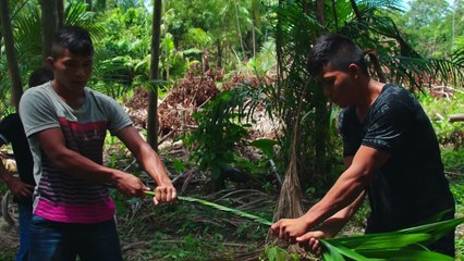 Seeding Change - The Power of Conscious Commerce