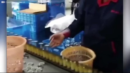 Moments You Must See Before You Die