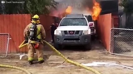 Moments You MUST SEE To Believe