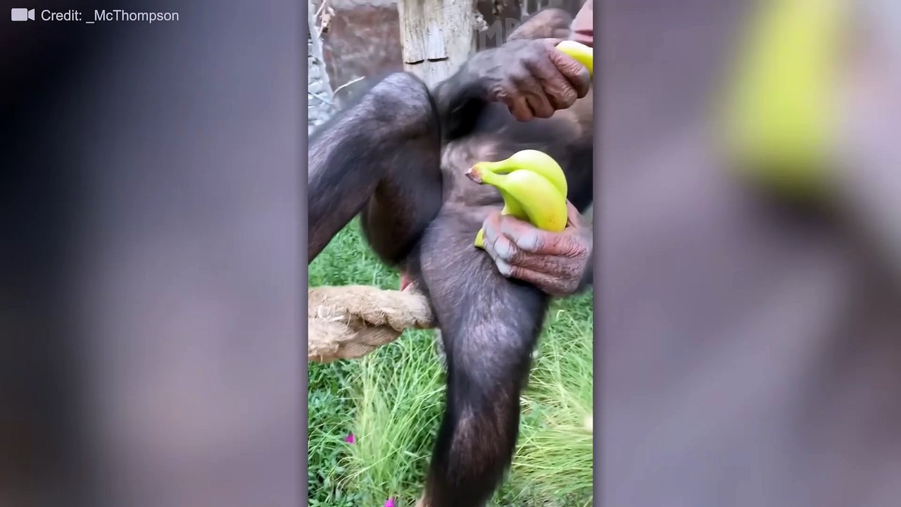 Moments You Wouldn't Believe If They Weren't Recorded