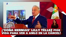 ¡VEAN! ¡’doña hernias’ Lilly Téllez pide delirando que Dios le dé vida para ver a AMLO en la cárcel!