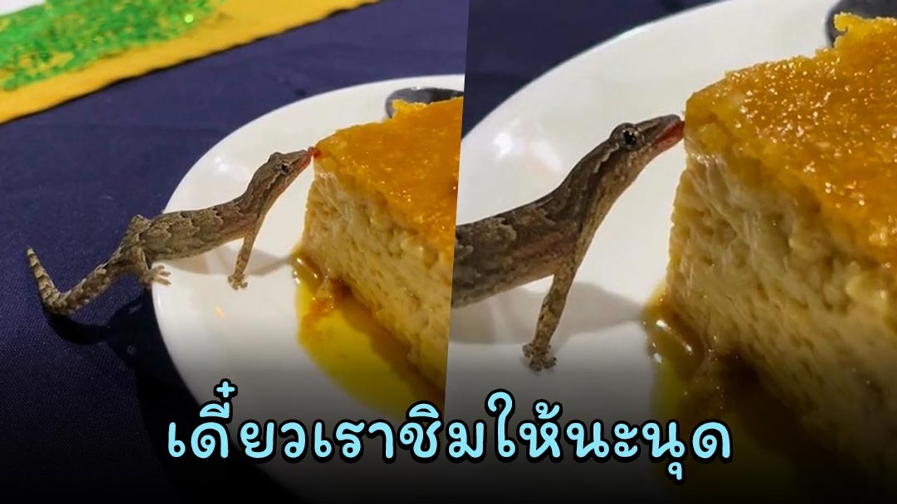 อั้ยย่ะ ! แผนก QC มาเอง ตรวจคุณภาพของหวาน ช่วยการันตีความอร่อย