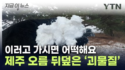 영화 촬영 후...정체불명 '흰 물질'에 점령당한 제주 오름 [지금이뉴스] / YTN