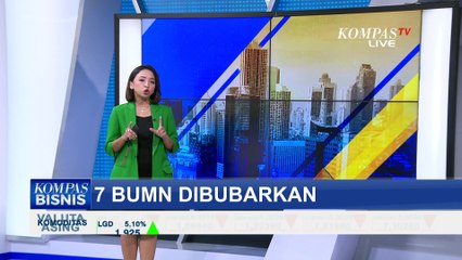 Resmi! 7 BUMN Dibubarkan, Ini Daftarnya