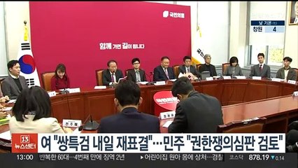 여 "쌍특검 내일 재표결"…민주 "권한쟁의심판 검토"