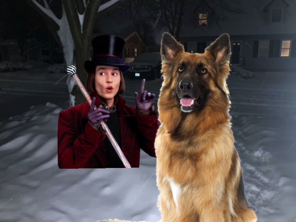 Jim Henson Dogs Xexuson - Real Life Dog Segment - Curtis the Dog Jump and Run Horse