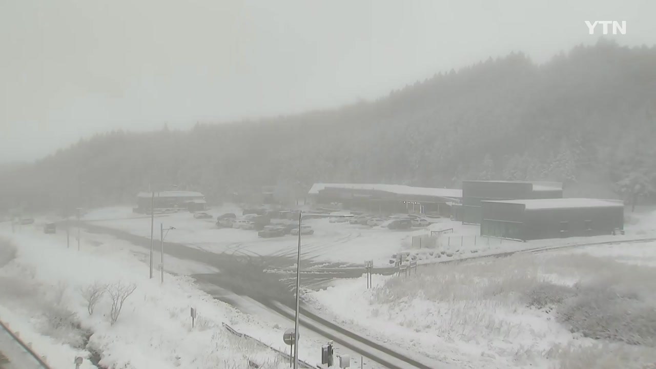 [날씨] 기습 한파 절정, 서울 -10.3℃...내일 전국에 대설 / YTN