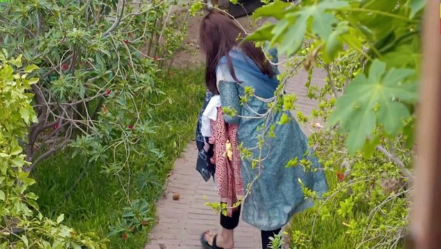 Ishq Murshid Episode 15 Teaser | Drama Ishq Murshid Episode 15 Promo BilalAbbas & Dur-e-Fishan