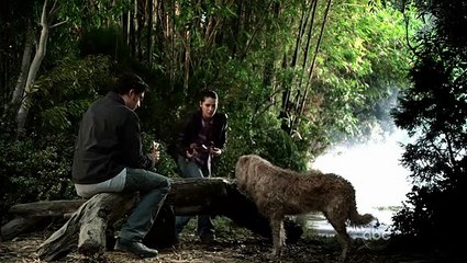 The Forgotten - S01E06: Canine John