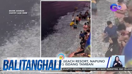 Baybayin ng isang beach resort, napuno ng sangkaterbang isdang tamban | BT
