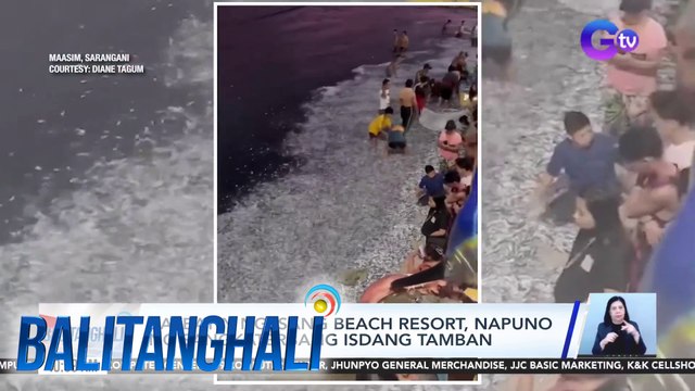 Baybayin ng isang beach resort, napuno ng sangkaterbang isdang tamban | BT