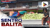 Presyo ng repolyo sa Dalaguete, Cebu, bumaba dahil sa oversupply ayon sa DA