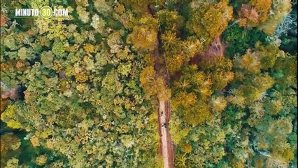 Video Tremendo programa Secretaría de Seguridad estrena Unidad Táctica en Medellín