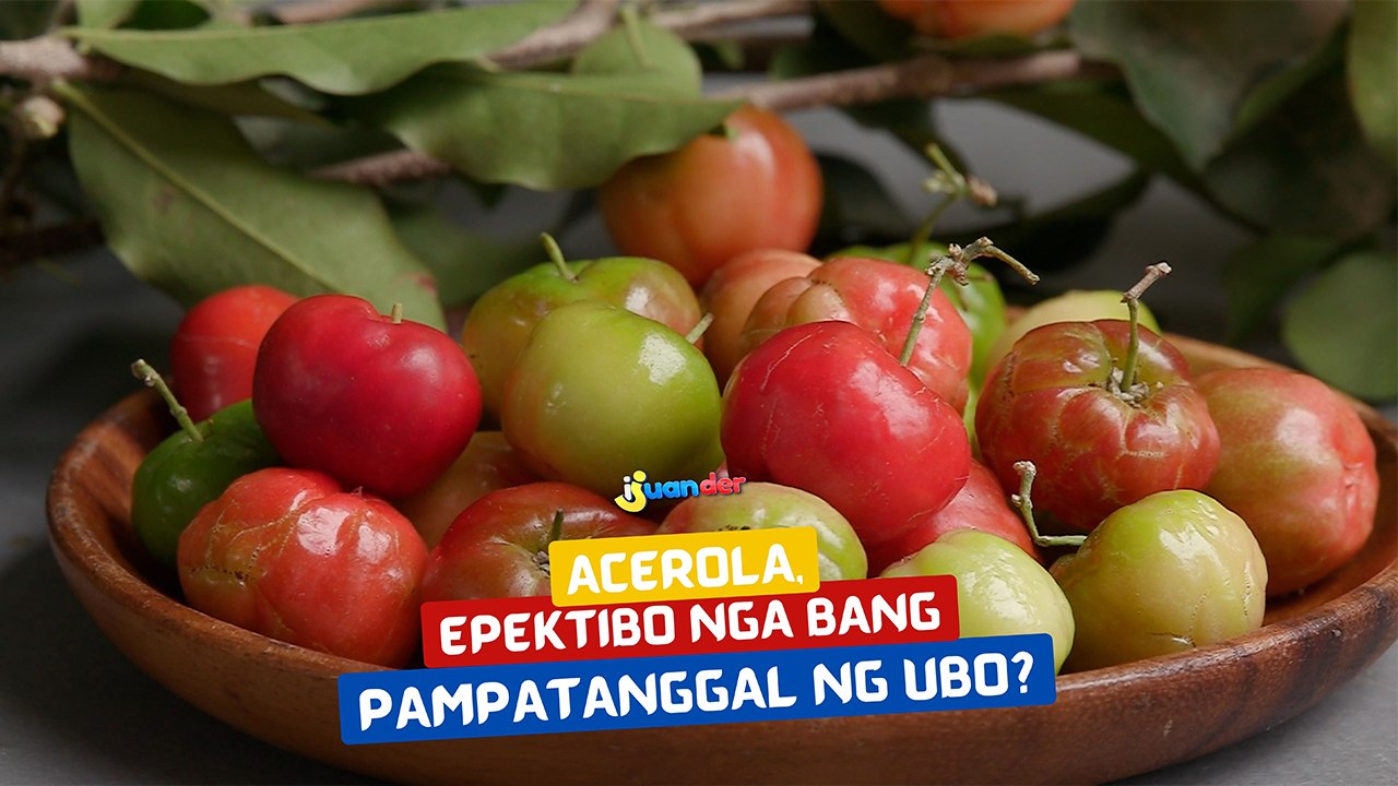 Acerola, epektibo nga bang pampatanggal ng ubo? | I Juander