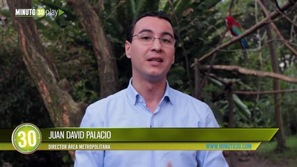 necropsia a Guacamayas encontradas en Medellín