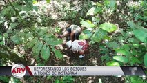 Así puedes reforestar los bosques a través de la red social Instagram