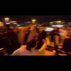 Bursa'da VAHŞET! 6 kedinin başını kestiler