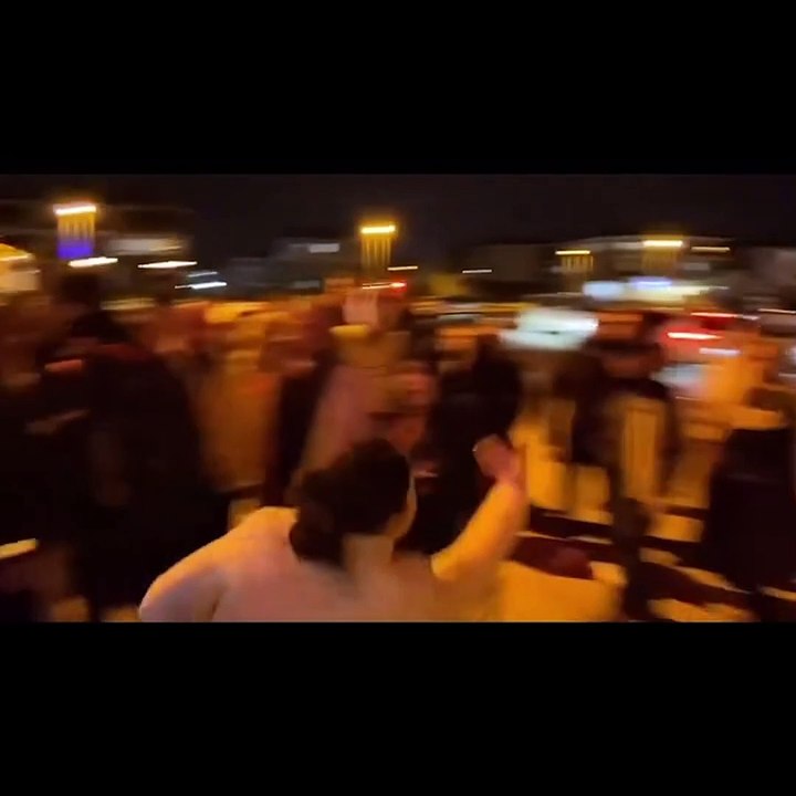 Bursa'da VAHŞET! 6 kedinin başını kestiler