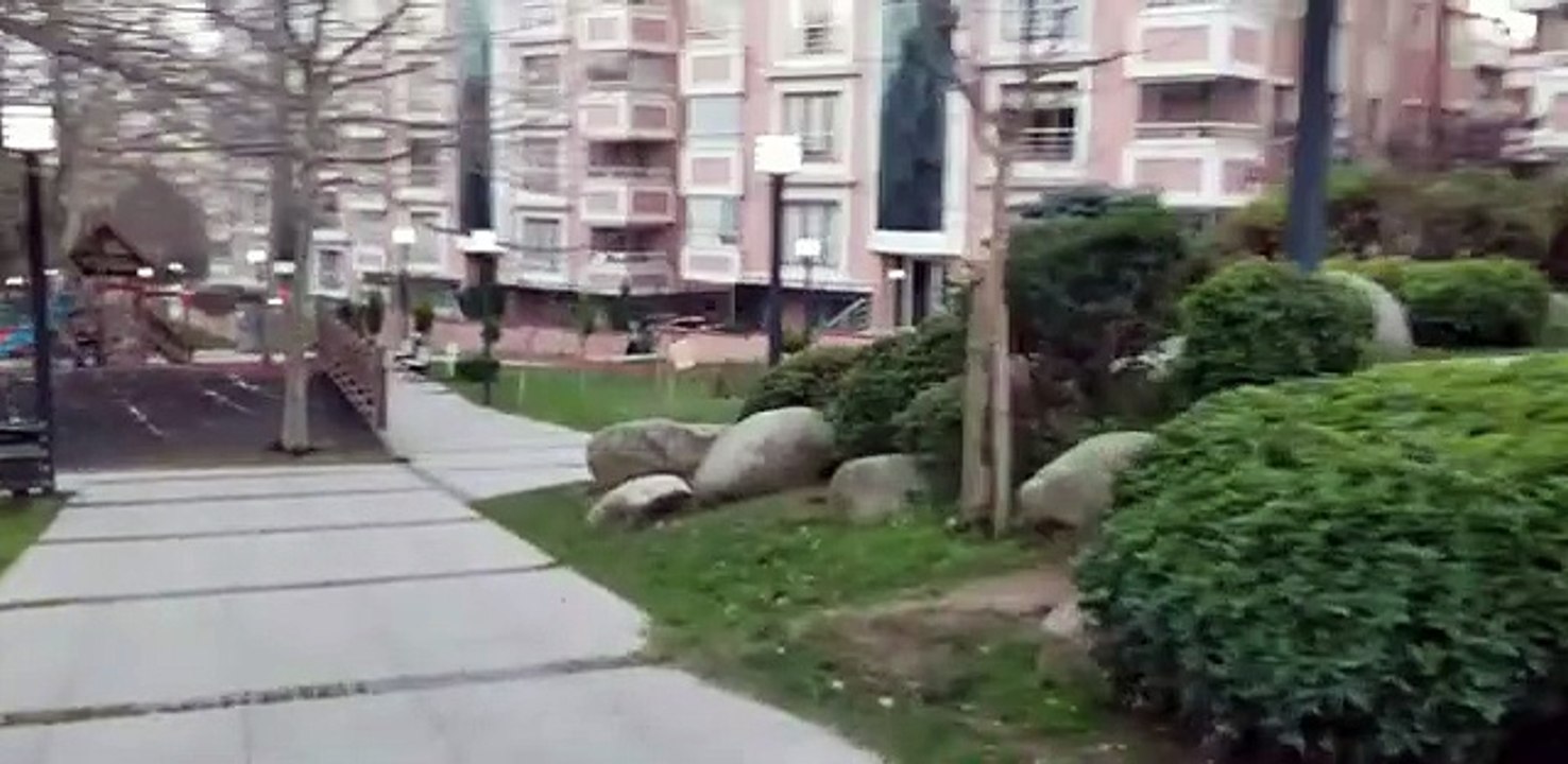 قصة أبو البنات وأبو الولاد قصة بدوية قديمة  قصة 3. قصة بدوية