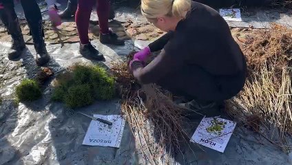 20240323_Jacek_Drozdz_NMRsko_zielone radomsko