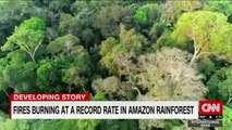 Amazon rainforest burning at record rate