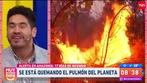 Experto explica las dramáticas consecuencias del incendio en el Amazonas