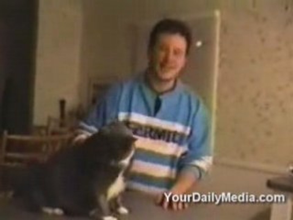 Talking Cats