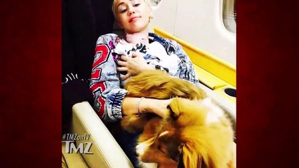 Download Video: Miley Cyrus To Keep All Pets In Liam Hemsworth Split