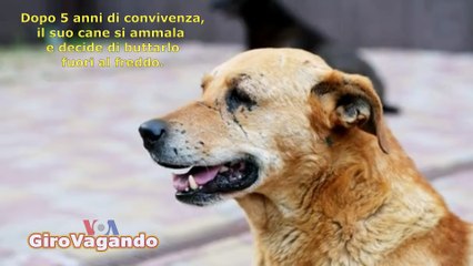 Il cane Obelix: Dopo 5 anni di convivenza si ammala e decide di buttarlo fuori al freddo.