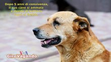 Il cane Obelix: Dopo 5 anni di convivenza si ammala e decide di buttarlo fuori al freddo.