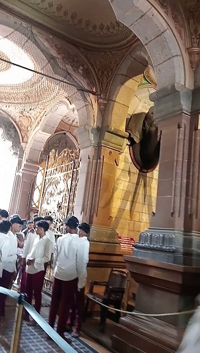 Real Elephant Head at Mysore Palace