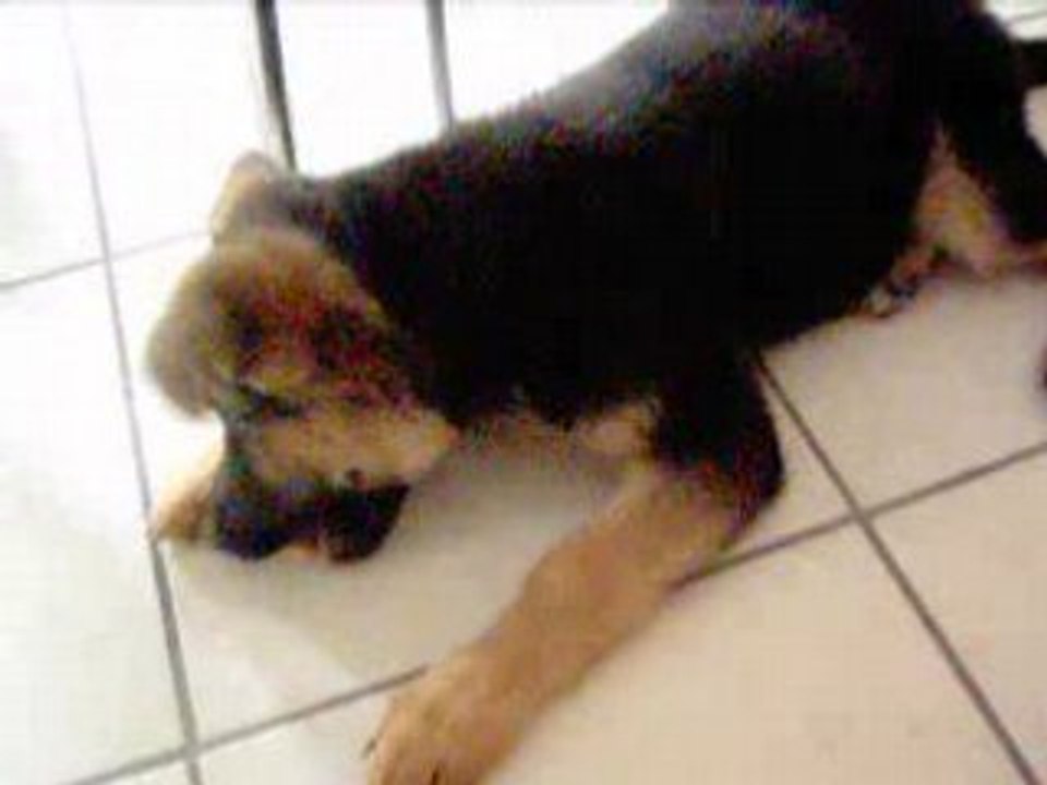 Djuna 3 mois "assis"