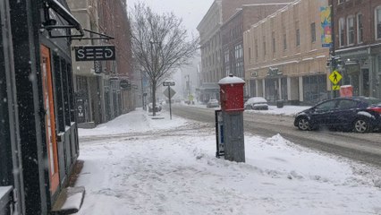 les amis de la neige