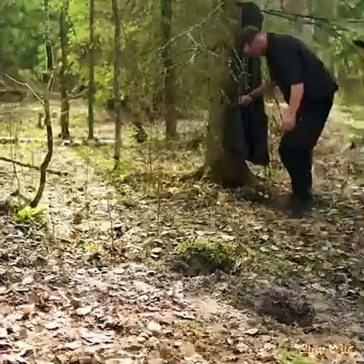 2 Day SOLO in Hammock, Primitive Skills WATER from Tree, DAKOTA Fire Hole, Birch Bark Container  Description  2 Day SOLO in Hammock, Primitive Skills WATER from Tree, DAKOTA Fire Hole, Birch Bark Container.