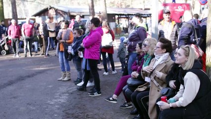 echodnia.eu Akcja charytatywna ,,Ratujemy wzrok Frania” Staszów