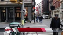 Koalas de peluche invaden las calles de Nueva York