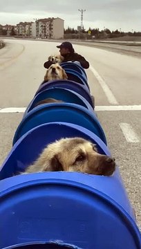 Ankara’da bir vatandaş engelli köpeklerin göremedikleri sokaklarda gezmesi için varillerden tren vagonları yapmış