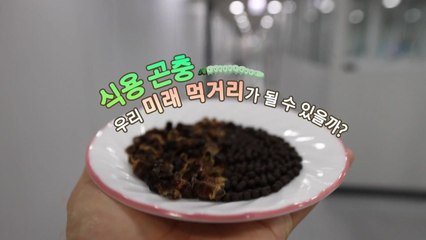 [왓슈] 식용 곤충, 우리의 미래 먹거리일까? / YTN