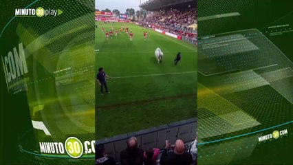 Qué susto Gigante toro invade partido de Rugby y genera caos entre jugadores