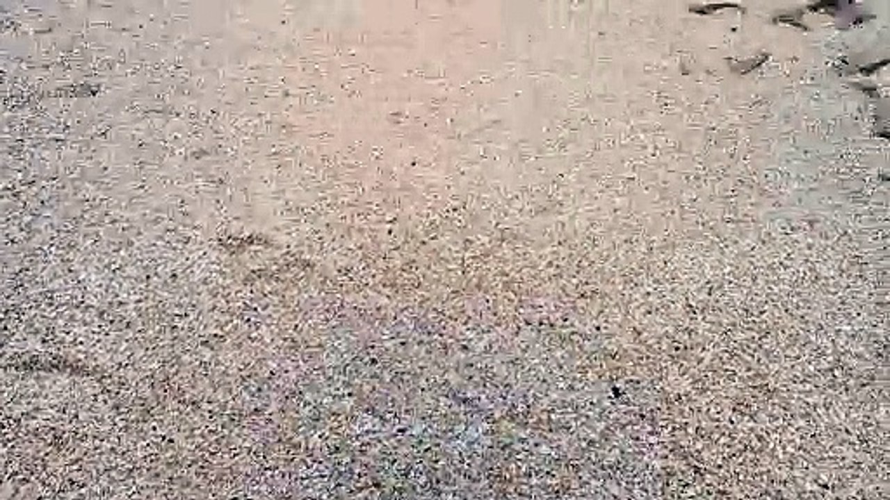 i love beach