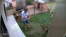 #CCTV: Hombre genera explosión en su patio al intentar eliminar una plaga de cucarachas