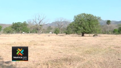 tn7-altas-temperaturas-predominaran-durante-fin-de-seman-230324